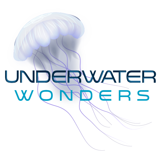 Virtual Reef Tank Consultation